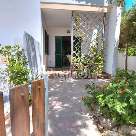 Holiday Homes - Baia Verde Feriehus *